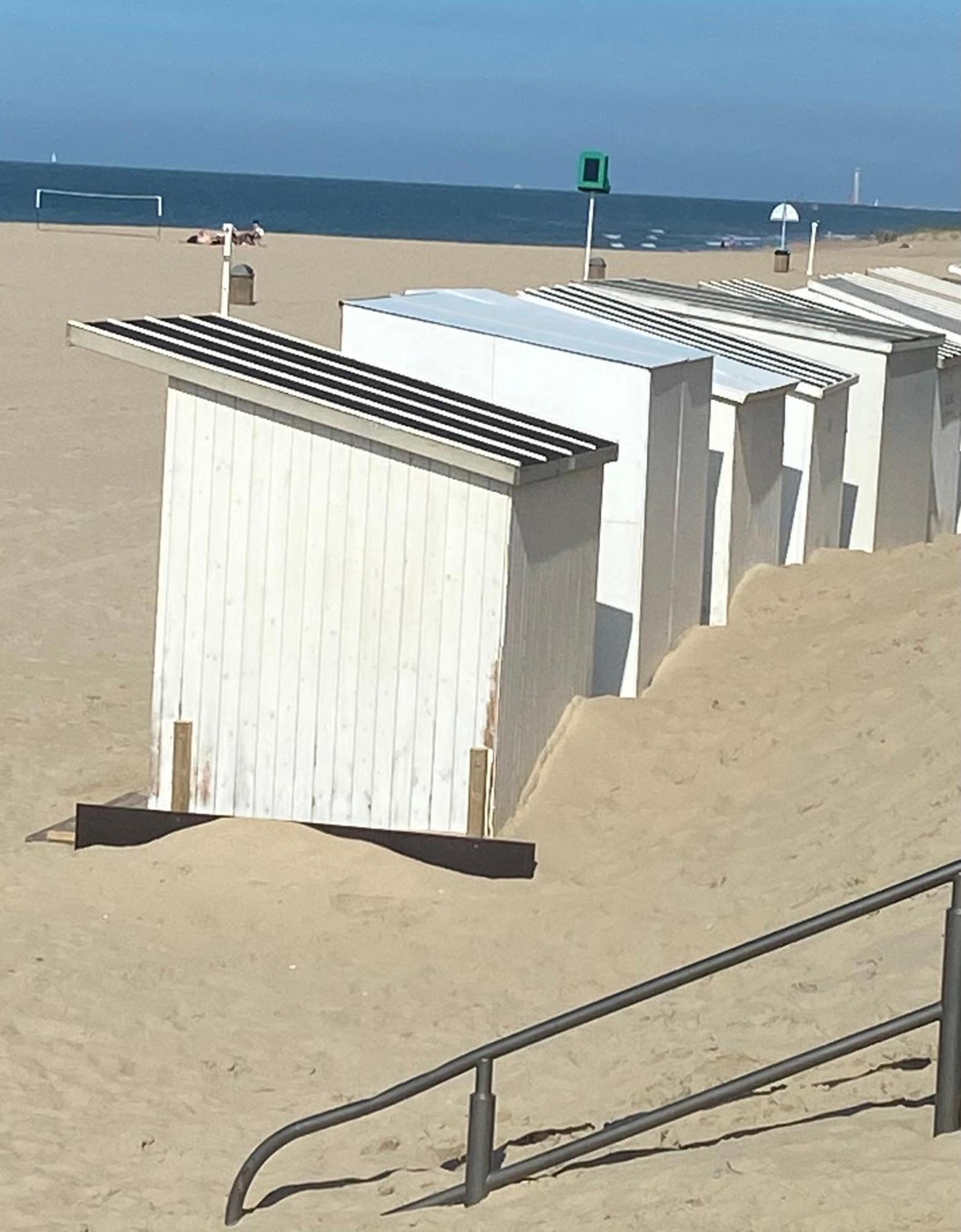 Ruim Zonnig Op 50m Ostend